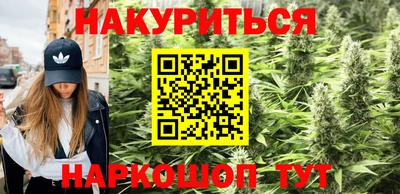 гашик Кинель