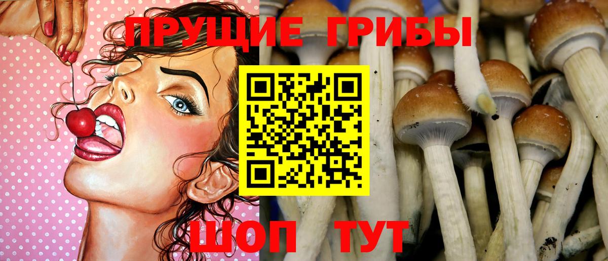 Псилоцибиновые грибы ЛСД Киров