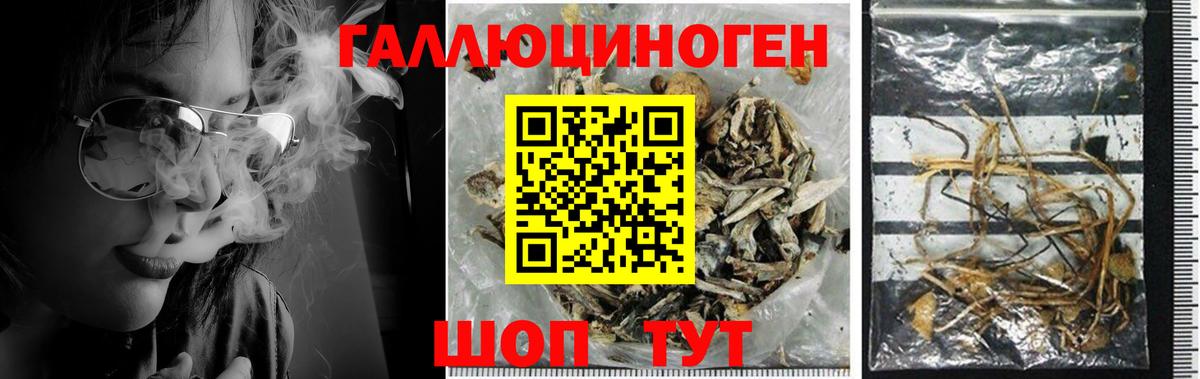 Киров  Галлюциногенные грибы ЛСД  Вход с VPN 